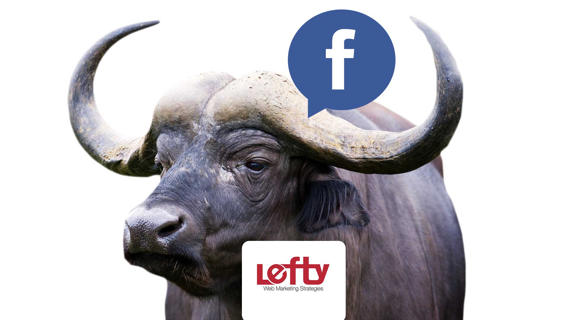 Facebook si schiera apertamente contro le bufale online